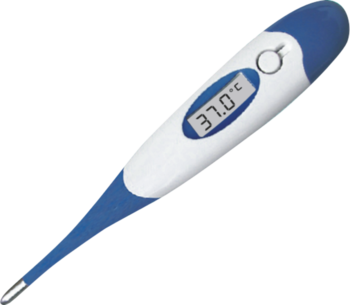Digitalt Thermometer Flex