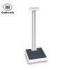 ADE Column scale Class III, 250kg