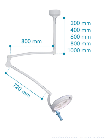 ML1000C - loft version